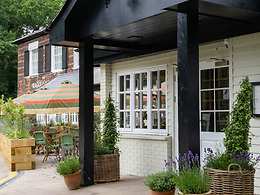 The Ragged Robin