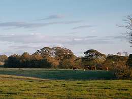 The Hide Hotel