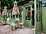The Ragged Robin - Riverside Courtyard restaurant