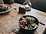 The Black Swan - Bar, Restaurant & Lounge restaurant