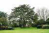 Ansty Hall