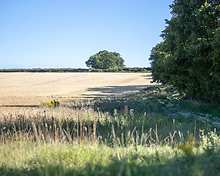 Cowdray Cottages