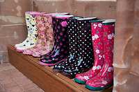Cringletie House