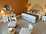 Farington Lodge - Superior Suite room