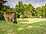 Grinkle Park - Wild Dining Pods restaurant