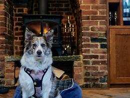 Hare and Hounds, Newbury