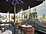 The Rex - The Brass Bar restaurant