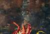 Low Wood Bay Resort & Spa