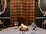 Melville Castle - The Brasserie restaurant