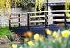 Quy Mill Hotel & Spa