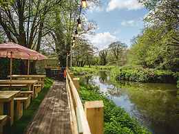 Stag on the River, Eashing