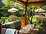 Stag on the River, Eashing - The Garden restaurant