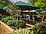 Stag on the River, Eashing - The Garden restaurant