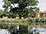 Stoke Place - Terrace And Picnic Grounds restaurant