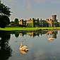 Swinton Park