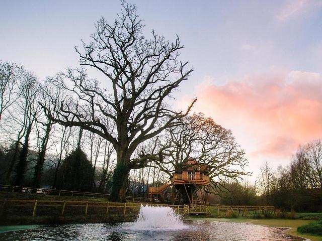 The Fox and Hounds Country Hotel additional image