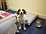 The Gables - Double room