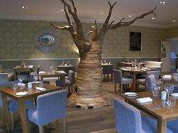 Arbor restaurant, The Green House, Bournemouth