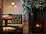 The Royal Forest - The Royal Forest restaurant