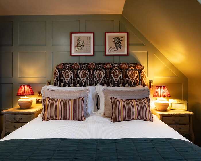 Comfy room, The Royal Forest