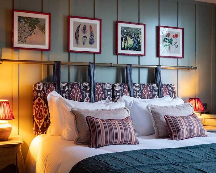 Really Comfy room, The Royal Forest