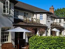 The Royal Foresters, Ascot