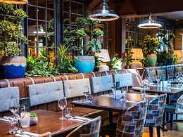 The Royal Foresters, Ascot
