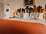 The Ship Inn, Mundesley - Deluxe Sea View room