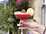 The Stroud Hotel - The Bucknall Bar restaurant