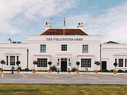 dog-friendly wellington arms hotel