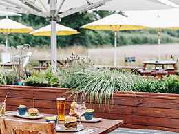 dog-friendly gardens at wellington arms hotel