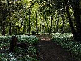 Walworth Castle